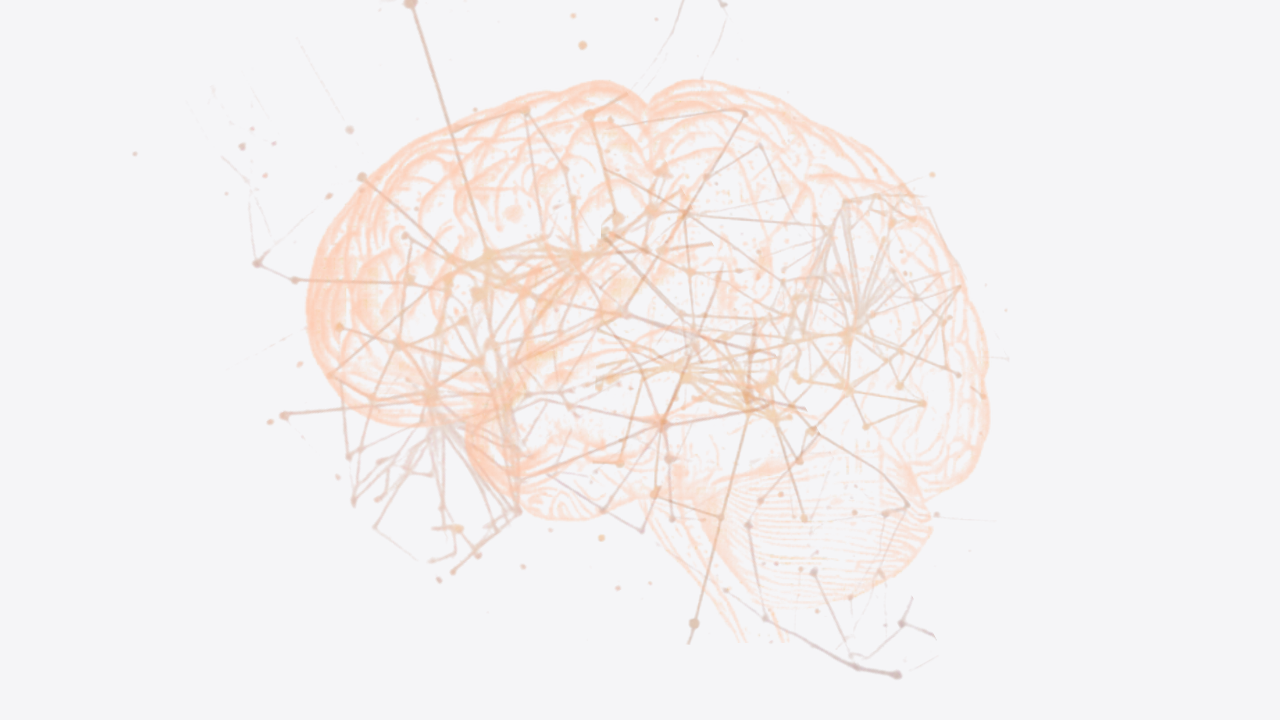 Customer SupportLLM - BaselineSFT with LoRA